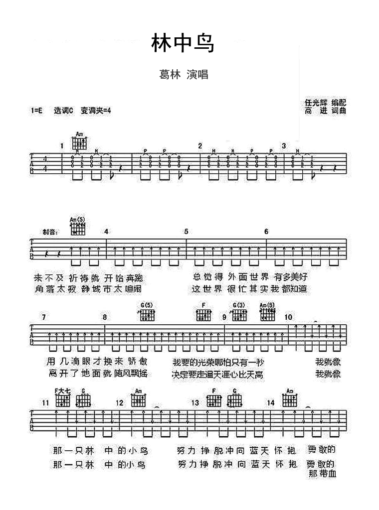 葛林 林中鸟六线谱