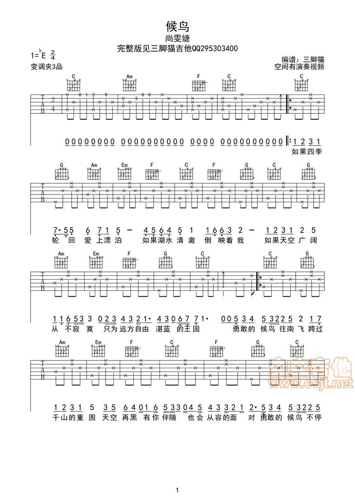 候鸟吉他谱